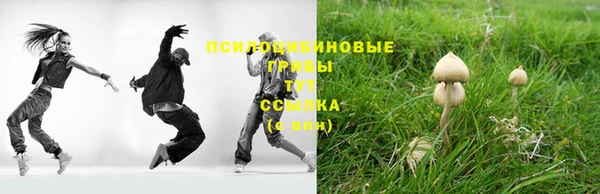 эйфоретик Богородск