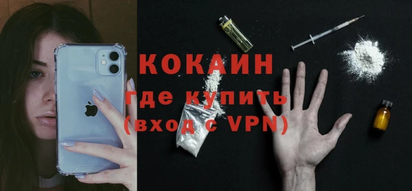 PSILOCYBIN Вяземский