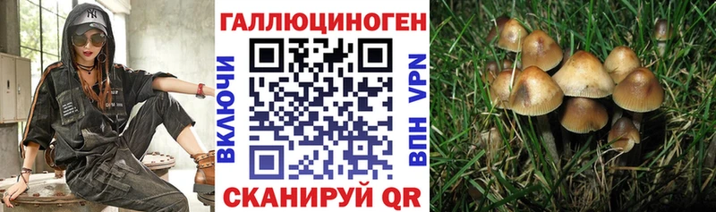 купить закладку  Онега  Псилоцибиновые грибы Psilocybe 